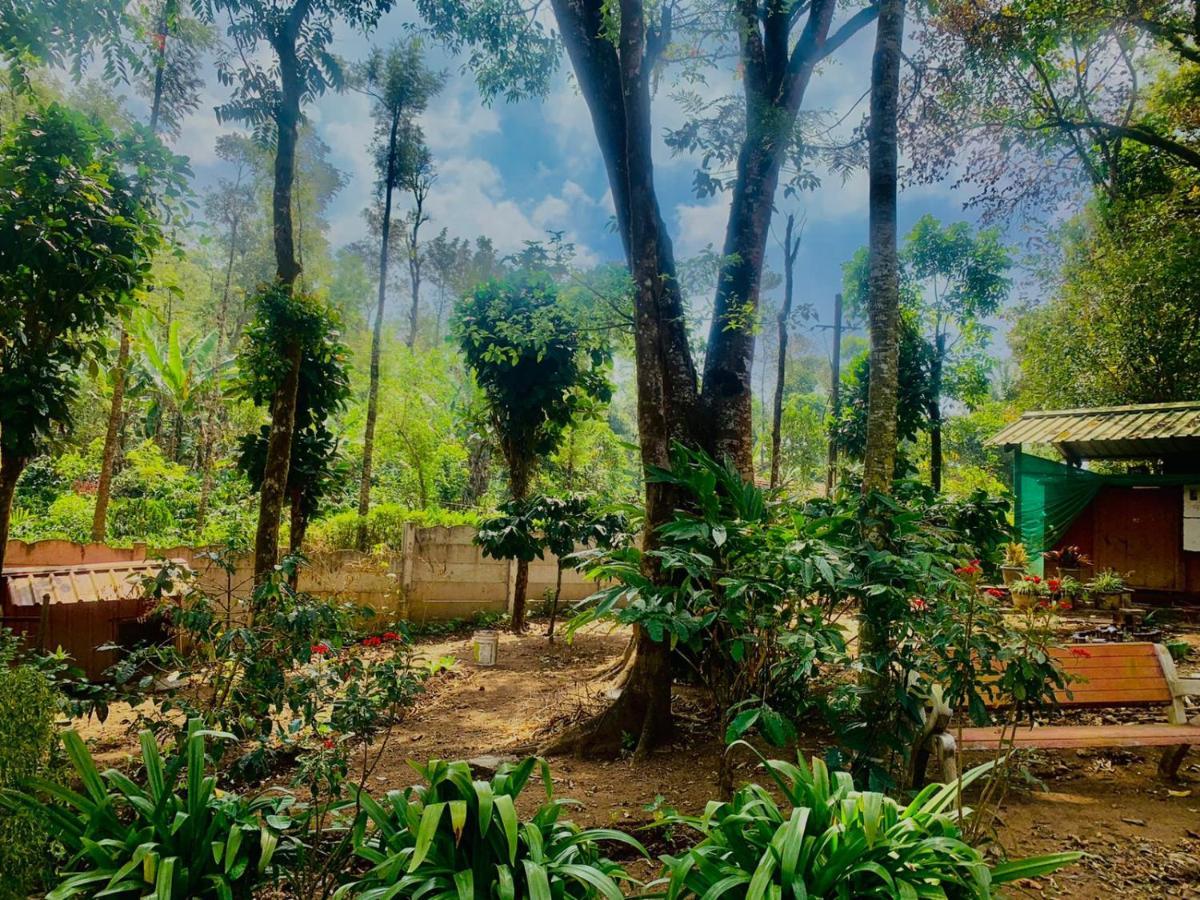 Shrenya Orchidz-Coorg Nature Stay Madikeri Exterior foto